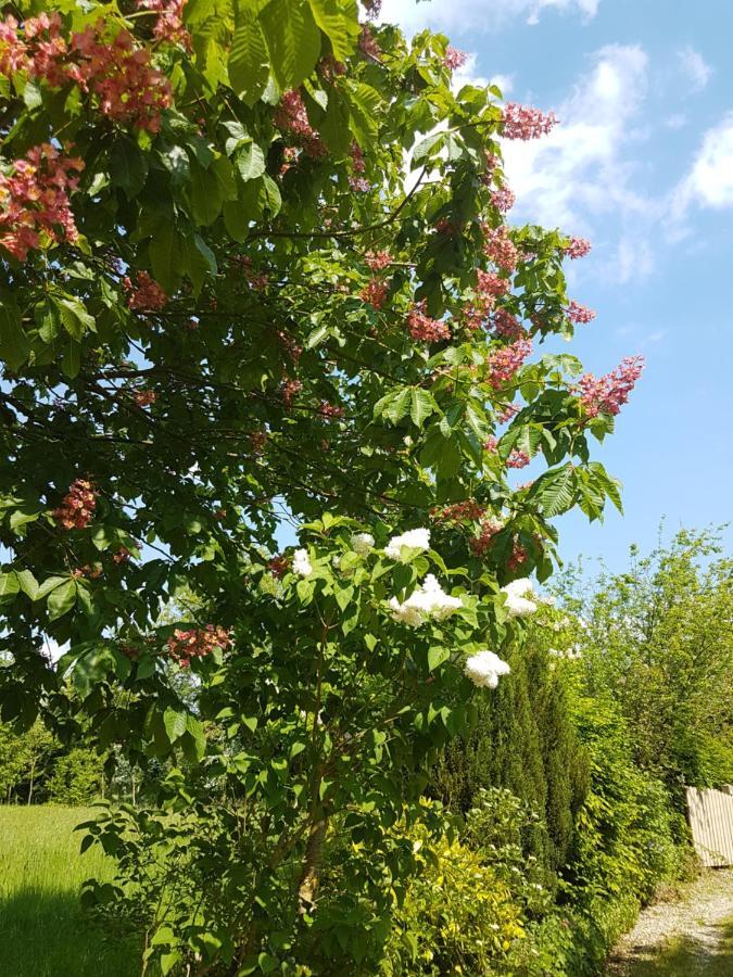 Le Cottage Exotique Du Lutin Many & Son Bain Nordique Saint-Christophe-Sur-Conde المظهر الخارجي الصورة